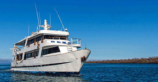 GalaExplorer bow