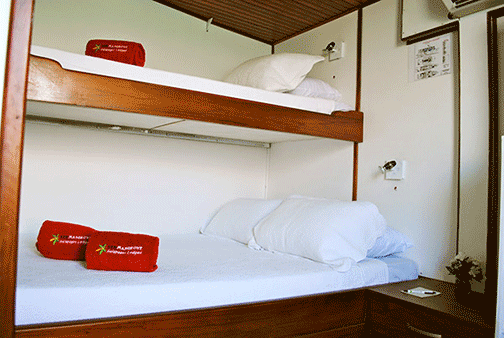 Cabin GalaExplorer